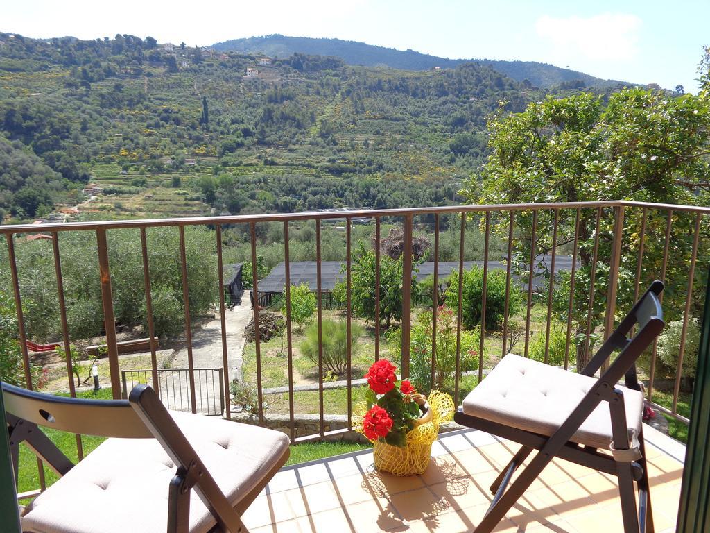 Agriturismo Turlin Vallebona Екстер'єр фото