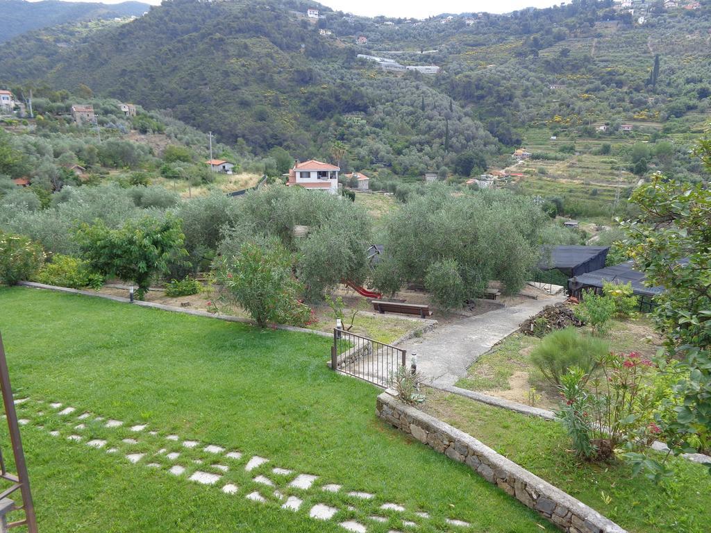 Agriturismo Turlin Vallebona Екстер'єр фото