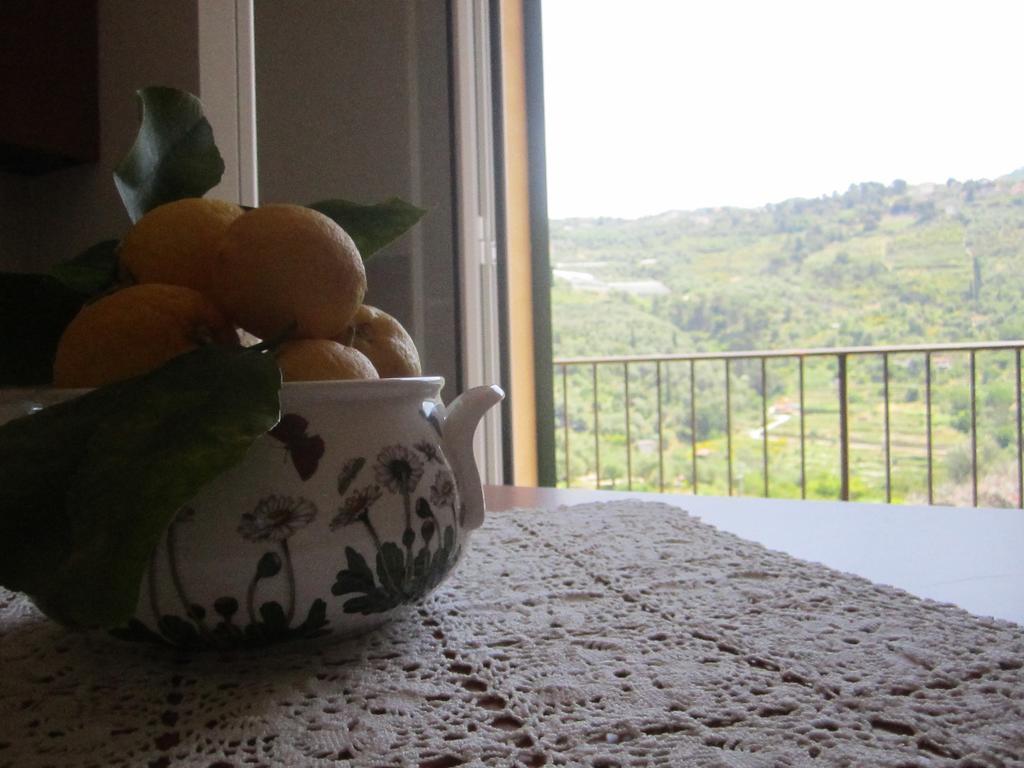 Agriturismo Turlin Vallebona Екстер'єр фото